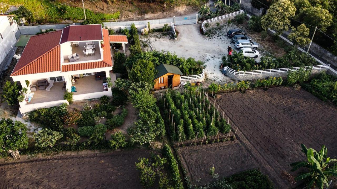帕尔盖利亚Michelino House住宿加早餐旅馆 外观 照片