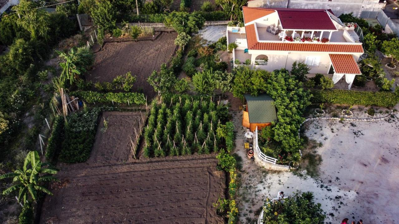帕尔盖利亚Michelino House住宿加早餐旅馆 外观 照片